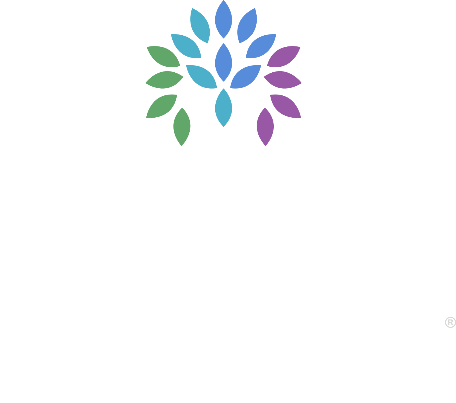 VITALIA Solon Logo