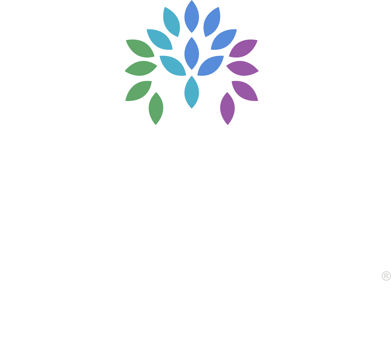 VITALIA Stow Logo